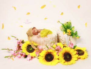 newborn shoot